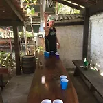 Hair Of The Dog