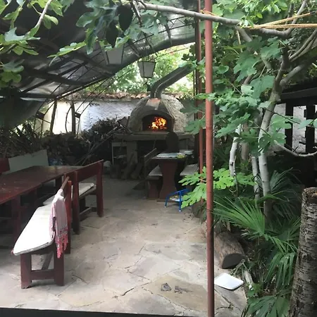 Hair Of The Dog Hostel *