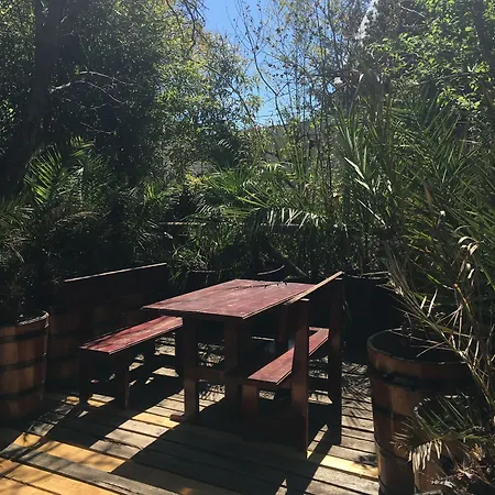 Ostello Hair Of The Dog *