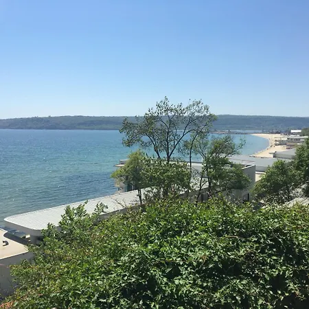 Hair Of The Dog Ostello