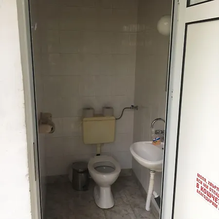 Hair Of The Dog Ostello