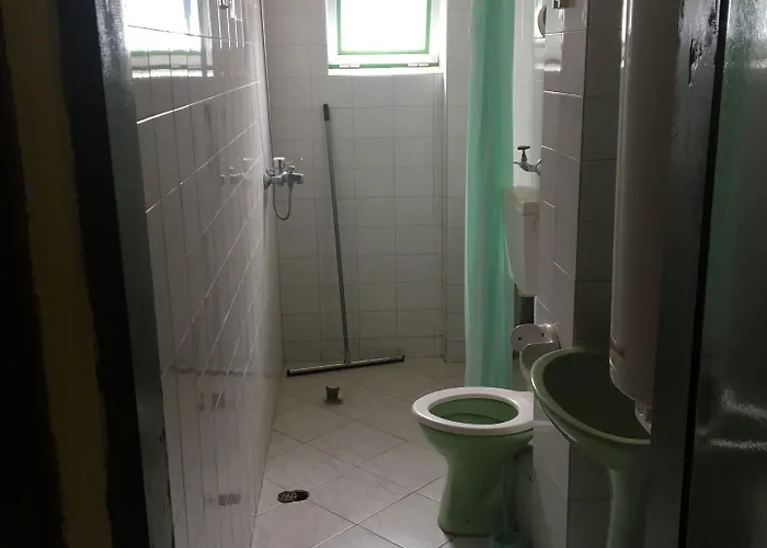 Hair Of The Dog Hostel *