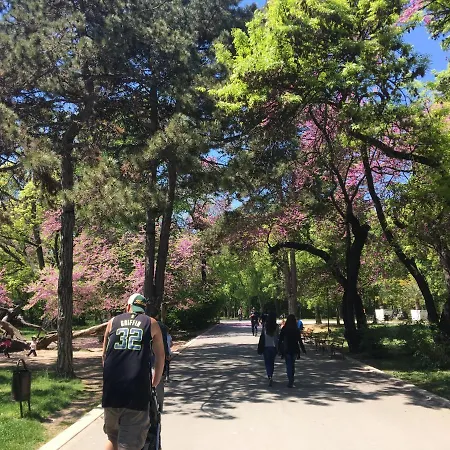 Hair Of The Dog * Saints Constantine and Helena