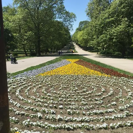Hair Of The Dog * Saints Constantine and Helena