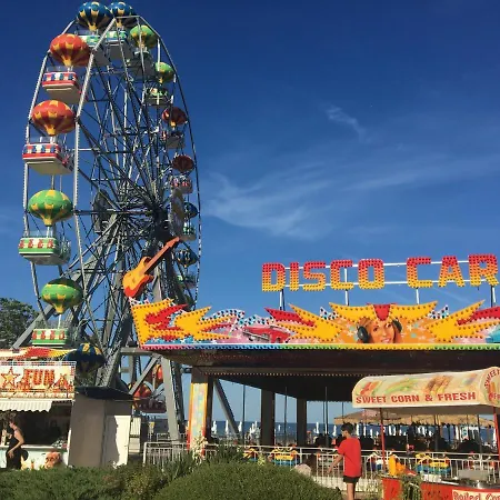 Hostel Hair Of The Dog