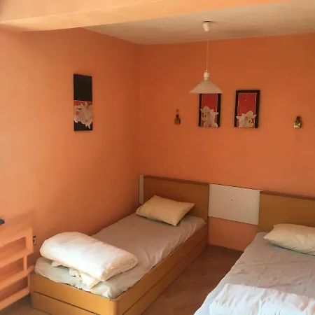 Hair Of The Dog Hostel *