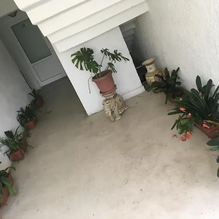 Hair Of The Dog Hostel *