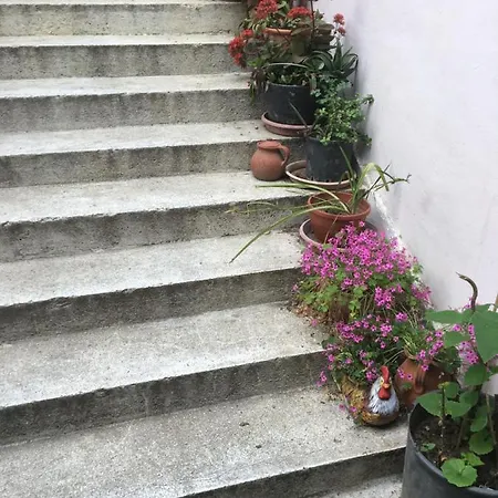 Hair Of The Dog * Saints Constantine and Helena