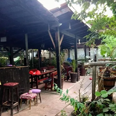 Hair Of The Dog Hostel *