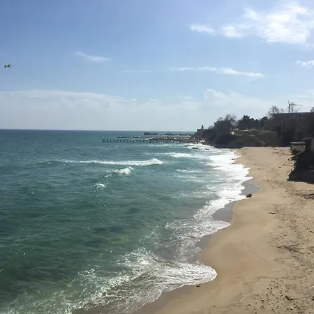 Hair Of The Dog * Saints Constantine and Helena