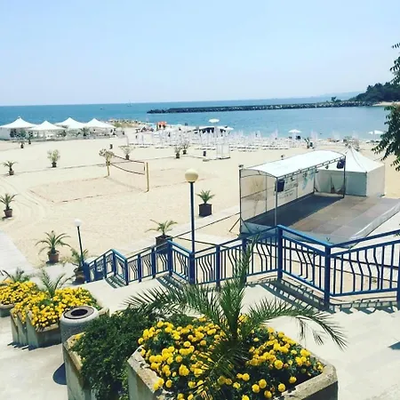 Hair Of The Dog Hostel