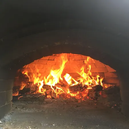 Hostel Hair Of The Dog