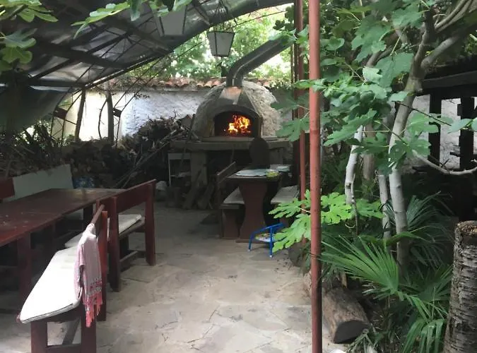 Hair Of The Dog Hostel *