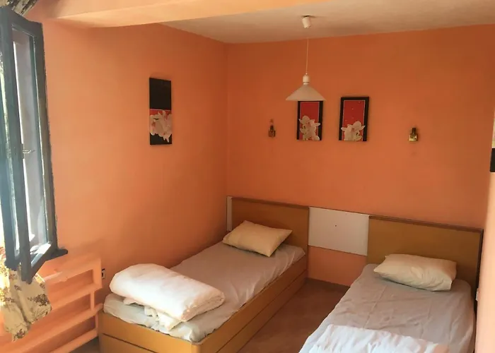 Hair Of The Dog Hostel *