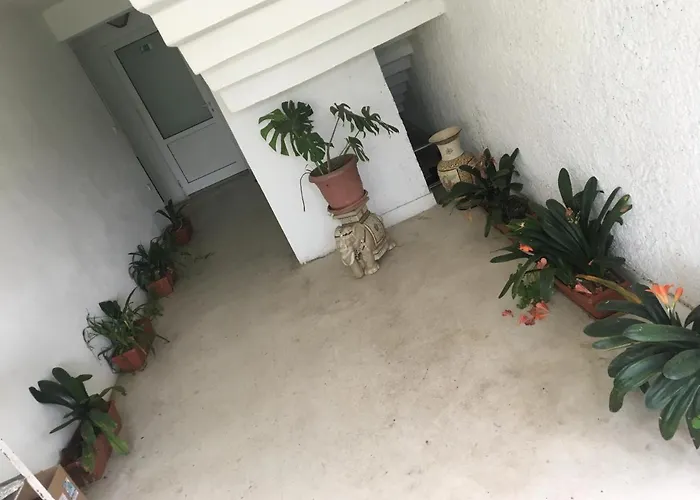 Hair Of The Dog Hostel *