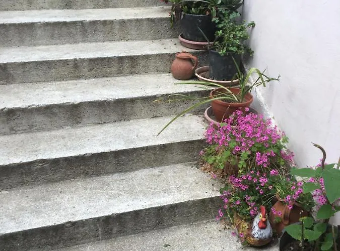 Hair Of The Dog * Saints Constantine and Helena